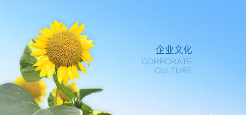 企業(yè)文化